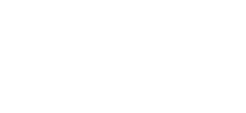 AHN logo